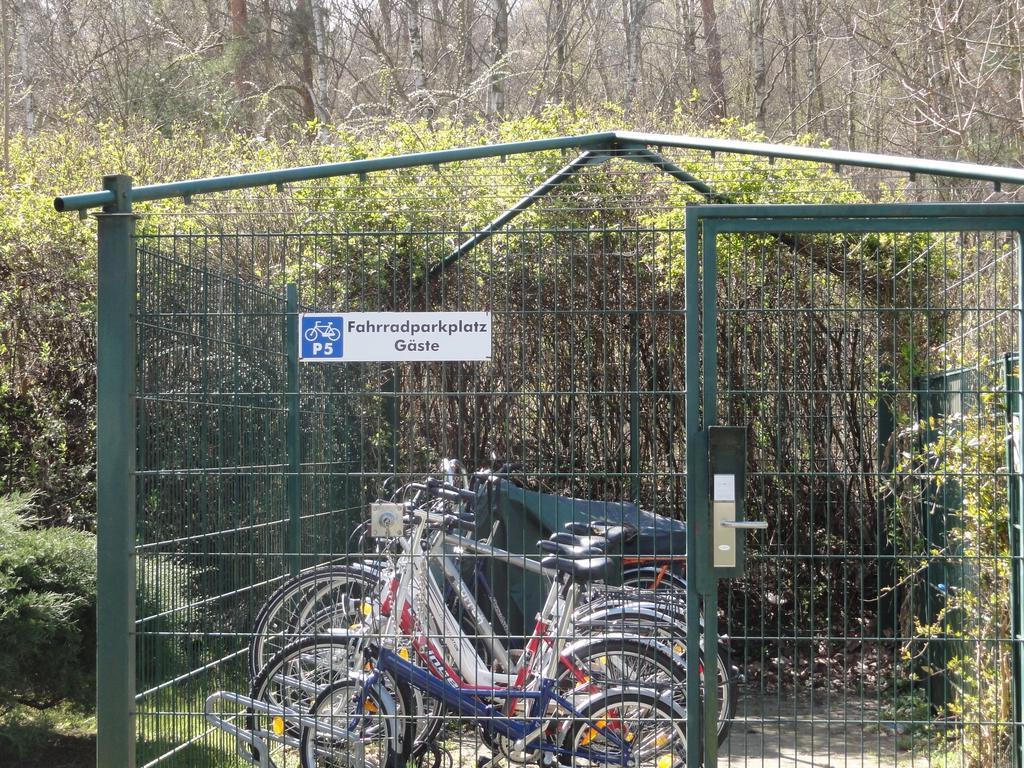 Ferienwohnung Im Duenenpark Binz Δωμάτιο φωτογραφία